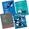 Barker Creek What if you Fly Art Prints Set, Sea & Sky Collection, 4/Set 3107 - alternate 1